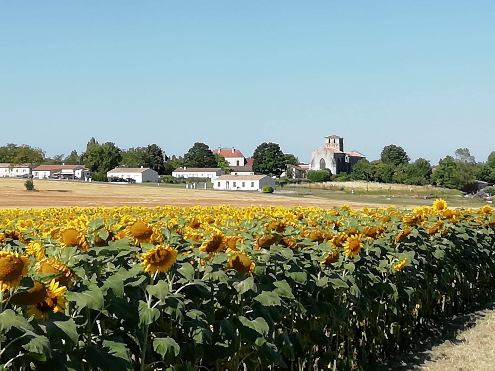 Vue sur Saint-Martial de Mirambeau