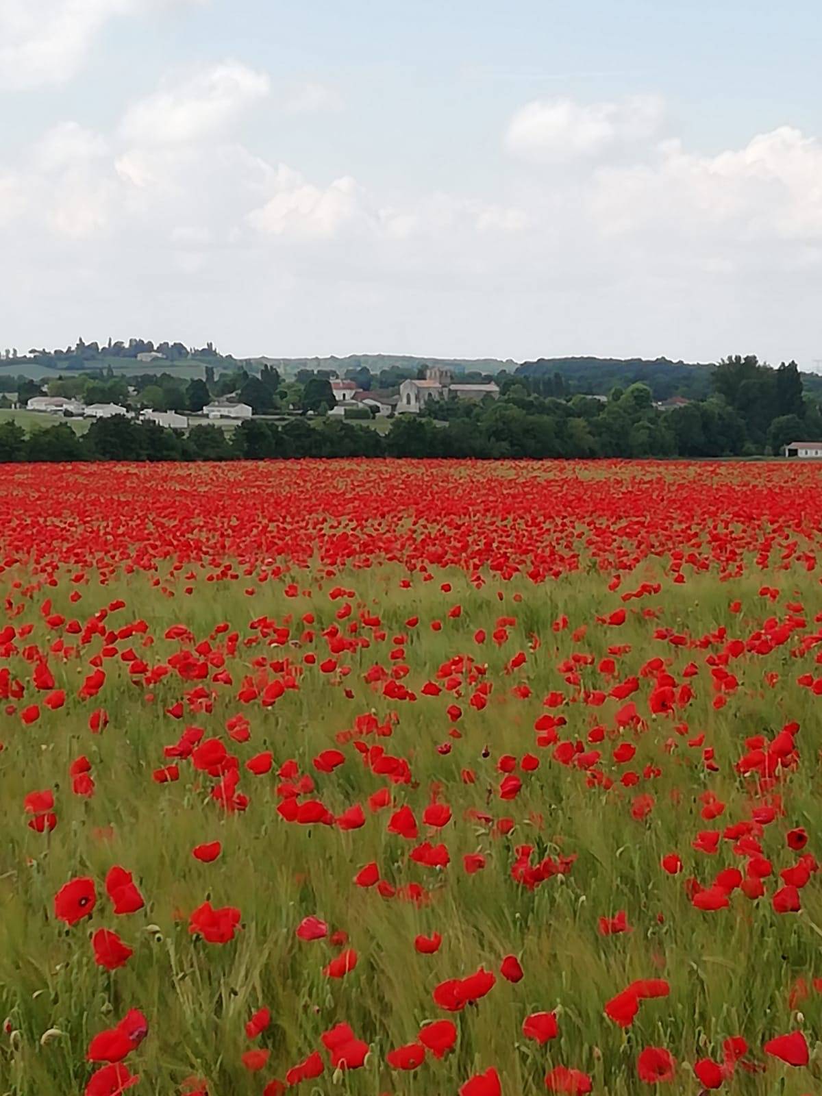 Vue sur Saint-Martial de Mirambeau